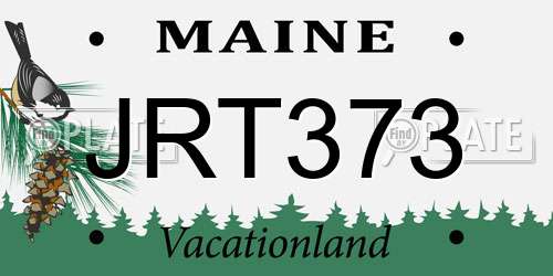 JRT373 Maine License Plate