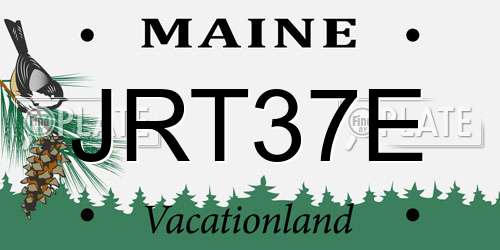 JRT37E Maine License Plate