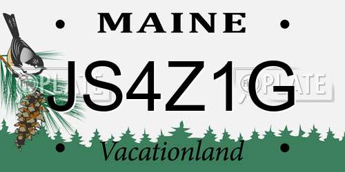 JS4Z1G Maine License Plate