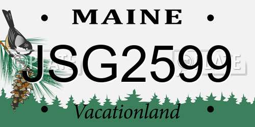 JSG2599 Maine License Plate