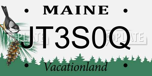 JT3S0Q Maine License Plate