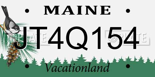 JT4Q154 Maine License Plate