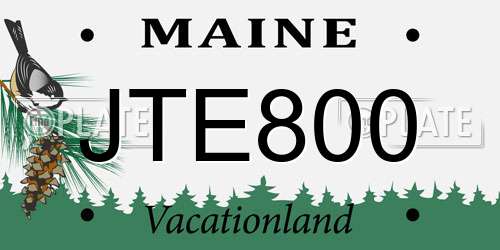 JTE800 Maine License Plate