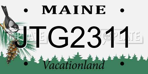 JTG2311 Maine License Plate
