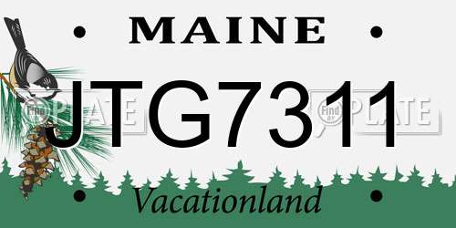 JTG7311 Maine License Plate