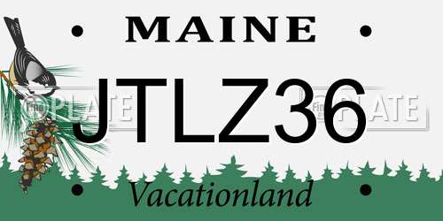 JTLZ36 Maine License Plate