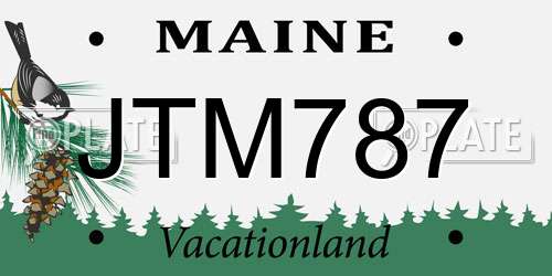 JTM787 Maine License Plate