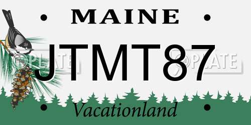 JTMT87 Maine License Plate