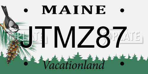 JTMZ87 Maine License Plate