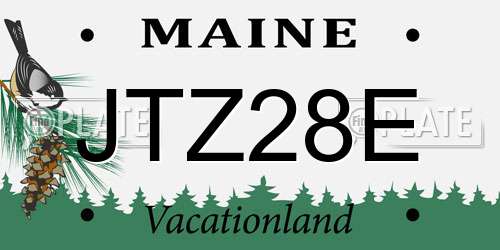 JTZ28E Maine License Plate