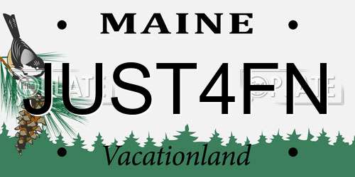 JUST4FN Maine License Plate