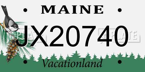 JX20740 Maine License Plate