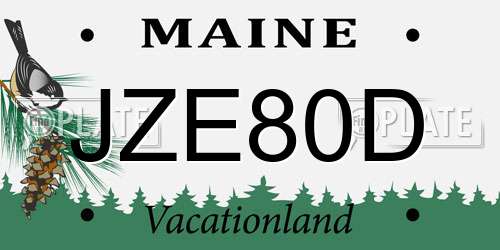 JZE80D Maine License Plate