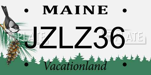 JZLZ36 Maine License Plate