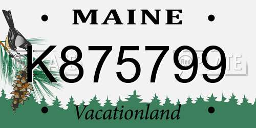 K875799 Maine License Plate