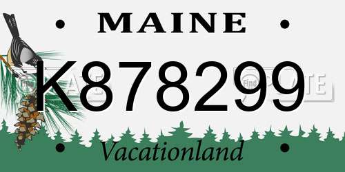 K878299 Maine License Plate