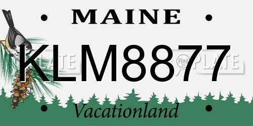 KLM8877 Maine License Plate