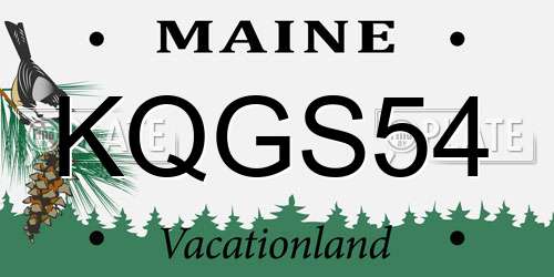 KQGS54 Maine License Plate
