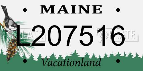 L207516 Maine License Plate