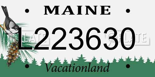 L223630 Maine License Plate