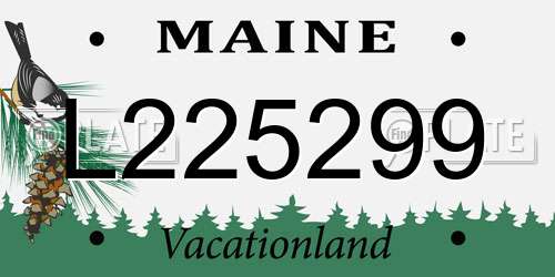 L225299 Maine License Plate
