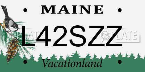 L42SZZ Maine License Plate