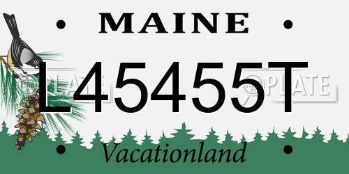 L45455T Maine License Plate