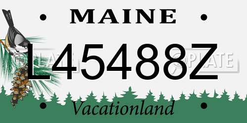 L45488Z Maine License Plate