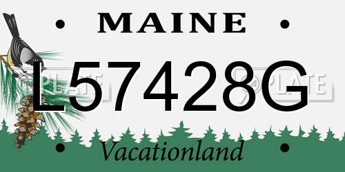 L57428G Maine License Plate
