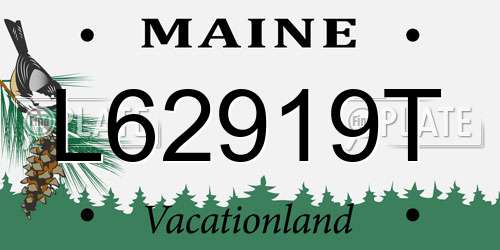 L62919T Maine License Plate