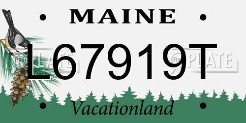 L67919T Maine License Plate