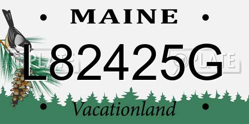 L82425G Maine License Plate