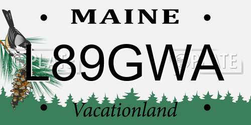 L89GWA Maine License Plate