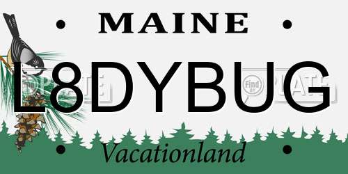 L8DYBUG Maine License Plate