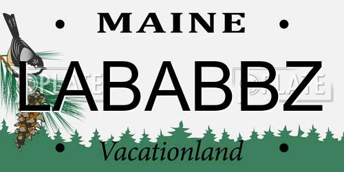 LABABBZ Maine License Plate