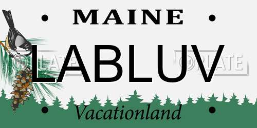 LABLUV Maine License Plate