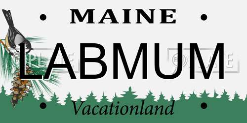 LABMUM Maine License Plate