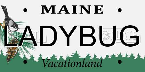 LADYBUG Maine License Plate