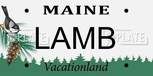LAMB Maine License Plate
