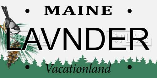 LAVNDER Maine License Plate