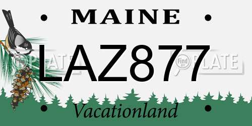 LAZ877 Maine License Plate