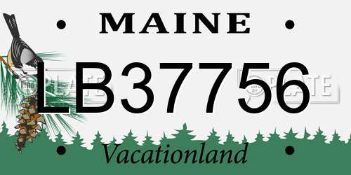 LB37756 Maine License Plate