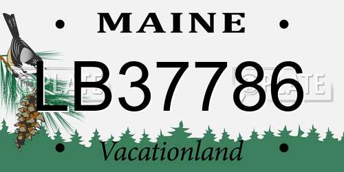 LB37786 Maine License Plate