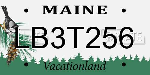 LB3T256 Maine License Plate