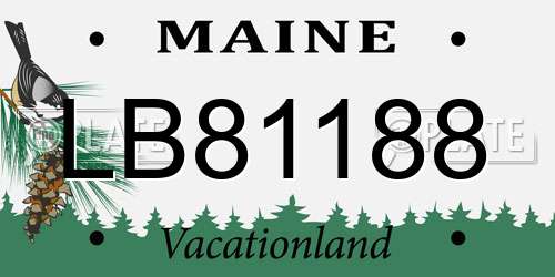 LB81188 Maine License Plate