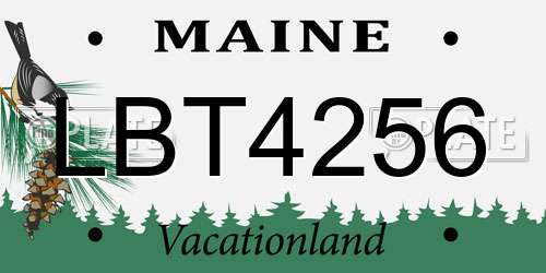 LBT4256 Maine License Plate