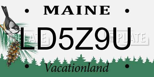 LD5Z9U Maine License Plate