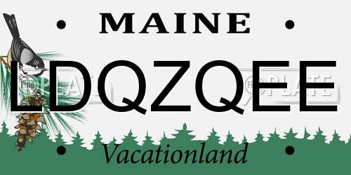 LDQZQEE Maine License Plate