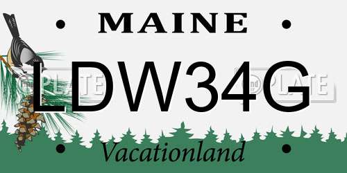 LDW34G Maine License Plate