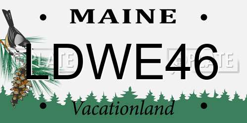 LDWE46 Maine License Plate